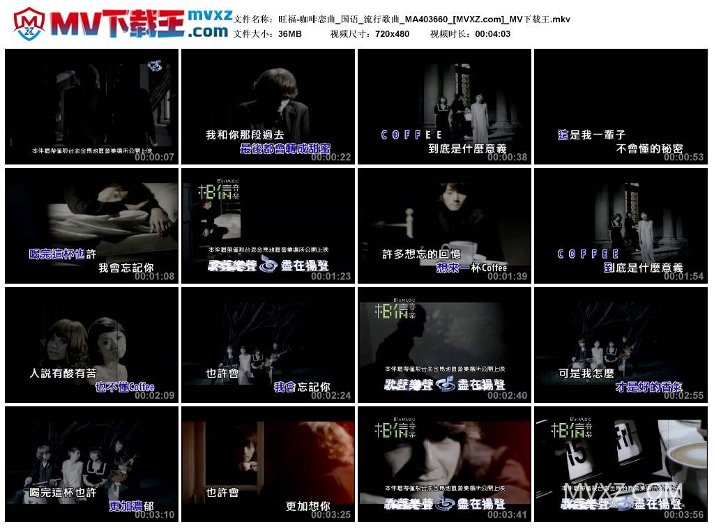 旺福-咖啡恋曲_国语_流行歌曲_MA403660